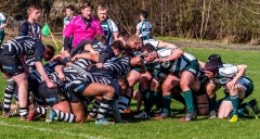 Rugby Tourists vs Victoria Linden