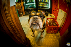 20220413_GansiGeburtstag_026