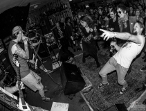 Fresse - Liven im Rare Guitar