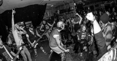 Fresse - Liven im Rare Guitar