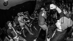 Fresse - Liven im Rare Guitar