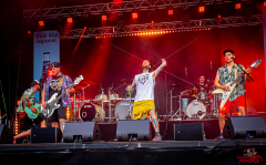 0906_20230616_Fresse_Schloss23_072