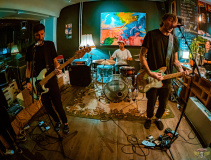 1994_20240913_Leaves_021