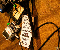 6221_20240913_Leaves_008