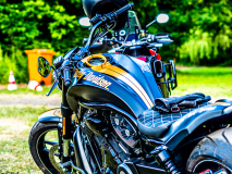 7349_20230610_Scara_009