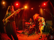 5502_20240426_Shapez_047