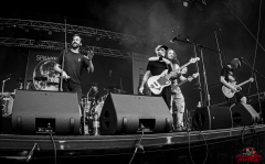 4707_20230616_Spinmyfate_018