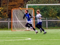 Münster Mohawks I schlagen das Team aus Mainz in der ersten Bundesliga West mit 14:6