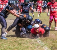 Münster Mammuts vs Aachen Vampires