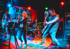 20220827_4MHustensaft_Live_012