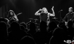 Alibi for a murder - Knüppelhart 3