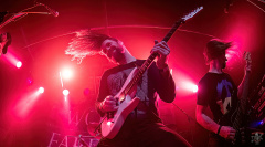 1833_20230224_Antilles_038