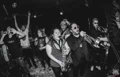 2464_20230303_BoomTownRare_118