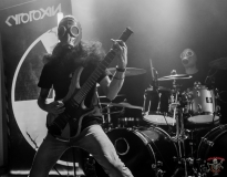 Cytotoxin - Live beim Krach mit Bier