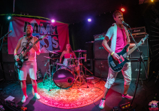 20220827_Dammriss_Live_012