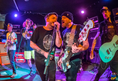 20220318_Fresse_Rare__073