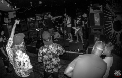 20101231_Fugu-Rare_005