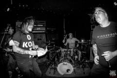 20101231_Fugu-Rare_006