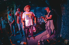 3393_20240504_Goldfish_049