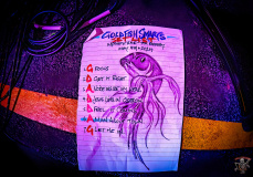 4883_20240504_Goldfish_001