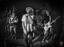 4972_20240504_Goldfish_004