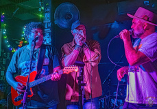 5667_20240504_Goldfish_052