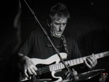 7382_20240504_Goldfish_044