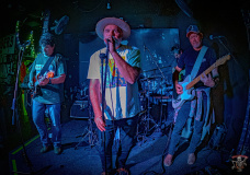 8151_20240504_Goldfish_003