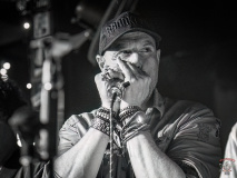 8461_20240504_Goldfish_039