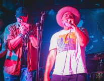 8692_20240504_Goldfish_022