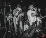 9187_20240504_Goldfish_009