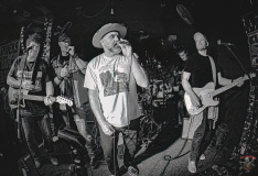 9615_20240504_Goldfish_051