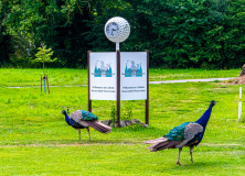 5757_20230719_Golf_Action_088