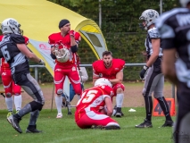 Münster Mammuts vs Mönchengladbach Wolfpack - American Football