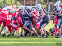 Münster Mammuts vs Mönchengladbach Wolfpack - American Football