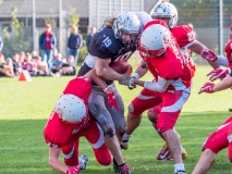 Münster Mammuts vs Mönchengladbach Wolfpack - American Football