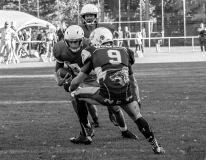 Münster Mammuts vs Mönchengladbach Wolfpack - American Football