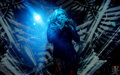 5225_240705_Mixwell_0005