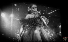 7819_240705_Mixwell_0011