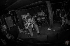 2487_20240208_PinkPlates_009