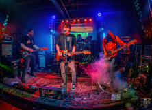 0936_20240406_Ragweed_002