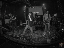 1305_20240406_Ragweed_043