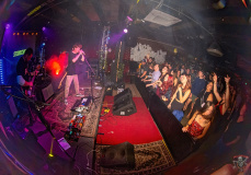 1367_20240406_Ragweed_045