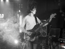 1527_20240406_Ragweed_011