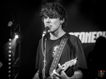 1608_20240406_Ragweed_028