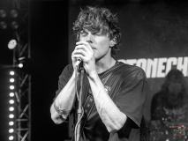 1912_20240406_Ragweed_035