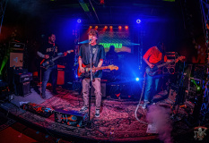 3859_20240406_Ragweed_001