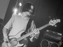 9998_20240406_Ragweed_019