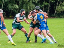 170909_Rugby Tourist vs TGS Hausen_027