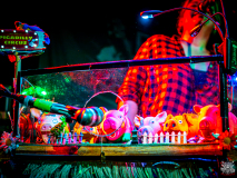 OLYMPUS DIGITAL CAMERA